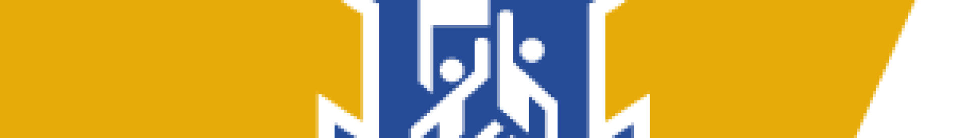 wss